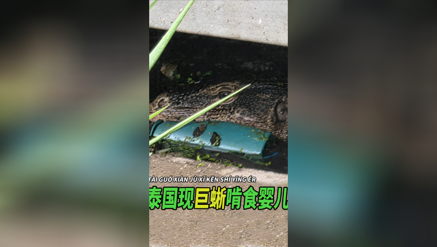 2025澳门今晚开奖结果历史,中国商人回忆缅甸震前多处异样,详细释义解释落实_纪念版V7.1